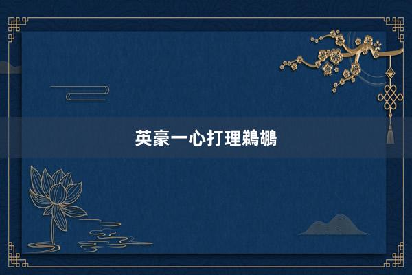 英豪一心打理鵜鶘