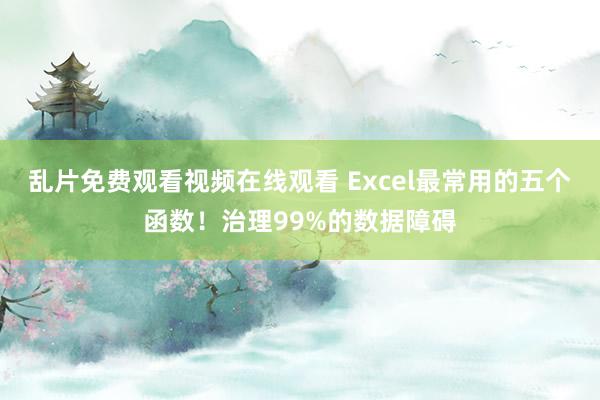 乱片免费观看视频在线观看 Excel最常用的五个函数！治理99%的数据障碍